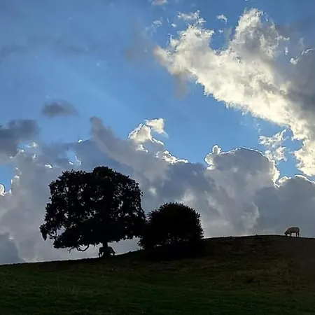 別荘 Maison Chaleureuse Et Lumineuse A 400m De La *